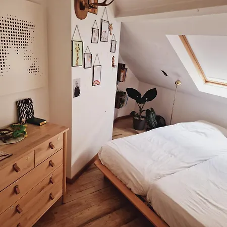 Architectural House Near City Center - 20min Walk *